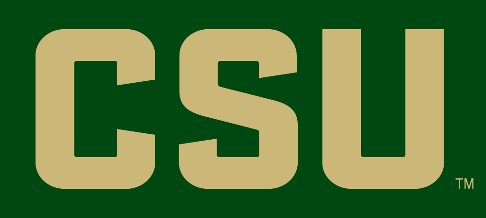 Colorado State Rams 2015-Pres Wordmark Logo v5 iron on transfers for fabric